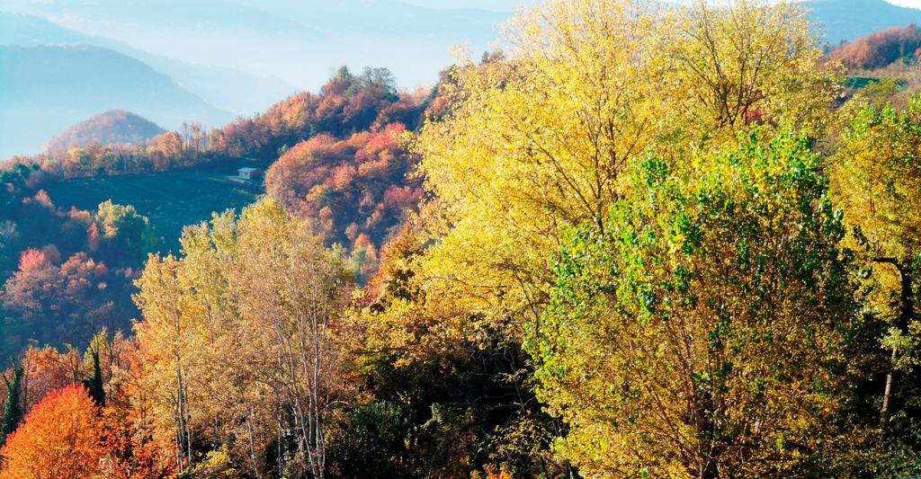 Borgo San Rocco Piemonte Leilighet Castino Eksteriør bilde