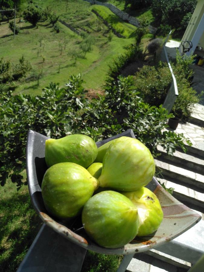 Borgo San Rocco Piemonte Leilighet Castino Eksteriør bilde